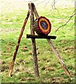 TQ7818 : Target for axe or knife throwing by Churchland Wood, Sedlescombe by Patrick Roper