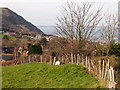 Above Penmaenmawr