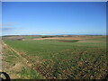 The  Yorkshire  Wolds  bathed  in  February  sunlight