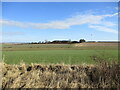 Over  wold  toward  Spaniel  Farm  from  Green  Lane