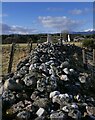 Stone dyke, Newmore, Ross And Cromarty