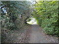 Footpath parallel to Mere Way, Far Cotton (3)