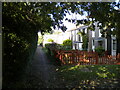 Footpath off Southwood Hill, Briar Hill