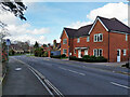 Houses on Sister Ann Way