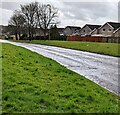 Grassy banks above Penylan Way, Cwmbran