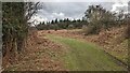 Path to Oaker Coppice