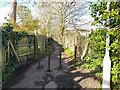 Posts on footpath 1cEG, East Grinstead