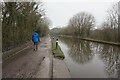 Macclesfield Canal towards bridge #12