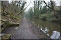 Macclesfield Canal towards bridge #12