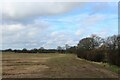 Countryside beside the A1237