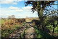 Heol ddiwyneb ger Gwerddon / Unsurfaced road near Gwerddon