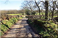 Heol fach ger Ffarm Pant Telych / Minor road near Pant Telych Farm