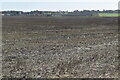 Flat farmland, Rother Valley