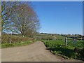 Road to Lower Clapton Farm