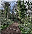 Path to the North Quarry Car Park