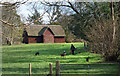 Thatched Barn & Dog Walking