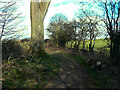 The Dales Way leaving King Lane, Alwoodley