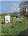 TL4346 : Thriplow: preparing for Daffodil Weekend by John Sutton