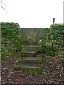 Stone stile field to wood, Miserden Estate GS1052