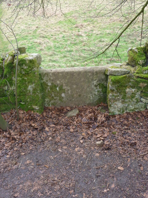 Stone stile nr Henley Farm Cottages, Miserden GS1053