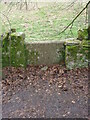 SO9309 : Stone stile nr Henley Farm Cottages, Miserden GS1053 by M Wills