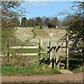 Footpath to Bradmore