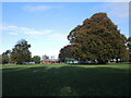 King George V Playing Field, Cleeve