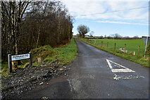 H5375 : Fernagh Road, Drumnakilly by Kenneth  Allen