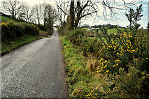 H5375 : Cairn Road, Drumnakilly by Kenneth  Allen