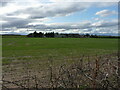 Former aircraft hangars of High Ercall airfield