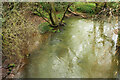 River Yeo from Kersford Bridge