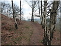 Woodland path above Lee Brockhurst