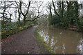 Peak Forest Canal towards bridge #14