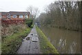 Peak Forest Canal towards bridge #13A