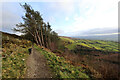 SJ1366 : Offa's Dyke path descending SE from Penycloddiau by Andy Waddington