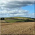 SU9912 : View NW towards Bignor Hill by Ian Cunliffe