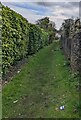Grassy track, Caerleon