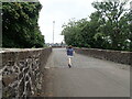 Approaching Old Stirling Bridge