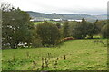 C0518 : View from Gartan Monastic site by N Chadwick