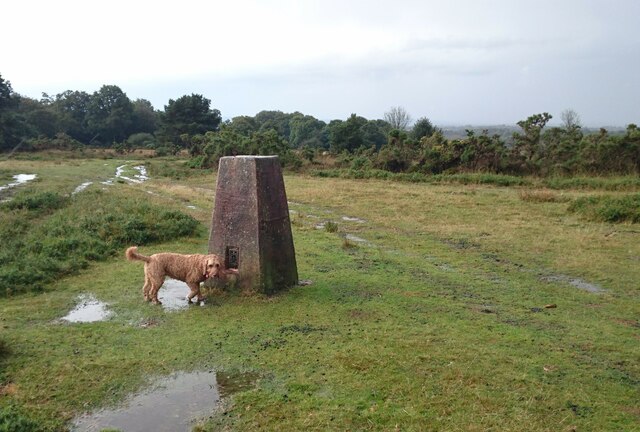 Camp Hill Trigpoint on Ashdown Forest