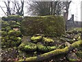 Stone stile below Sudgrove House, Miserden GS1060