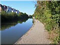 A stroll along the Coventry Canal to Hawkesbury Junction [32]