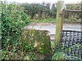 Stone stile near Waverley Farm, Edgeworth GS1080