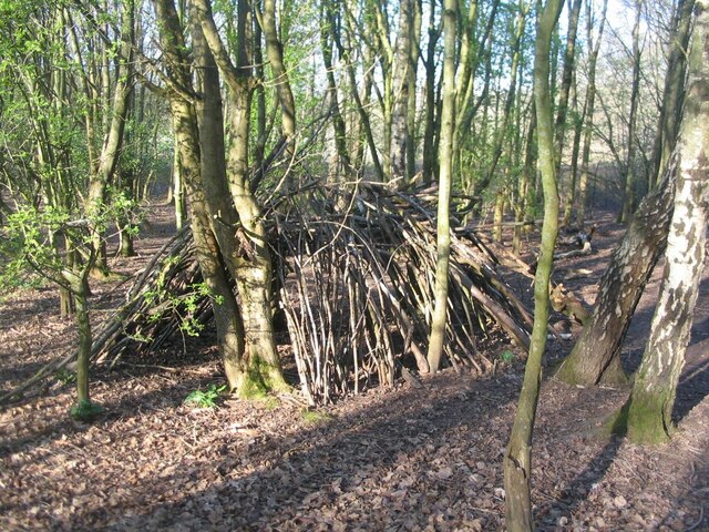 Woodland construction, Canley Ford