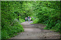 Tiverton : Footpath