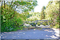 Ashford : Gate