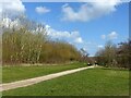 Footpath in Ruddington Country Park