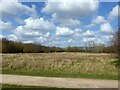 Rushcliffe Country Park