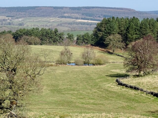 Pond on Harthill Moor