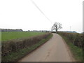 Yellow road near Croes-Robert